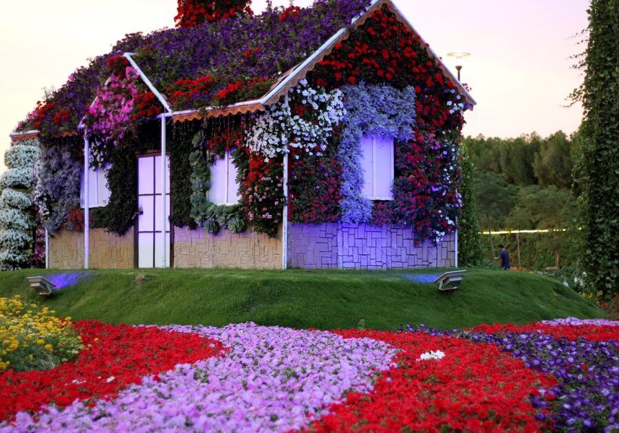 Дом из цветов